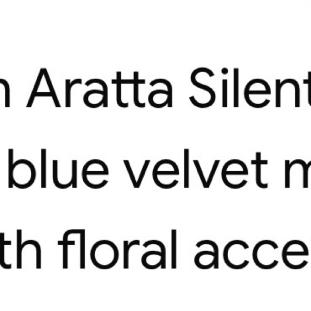 Aratta blue velvet embroidered hi-lo dress. 19” pit to pit - Picture 5 of 5